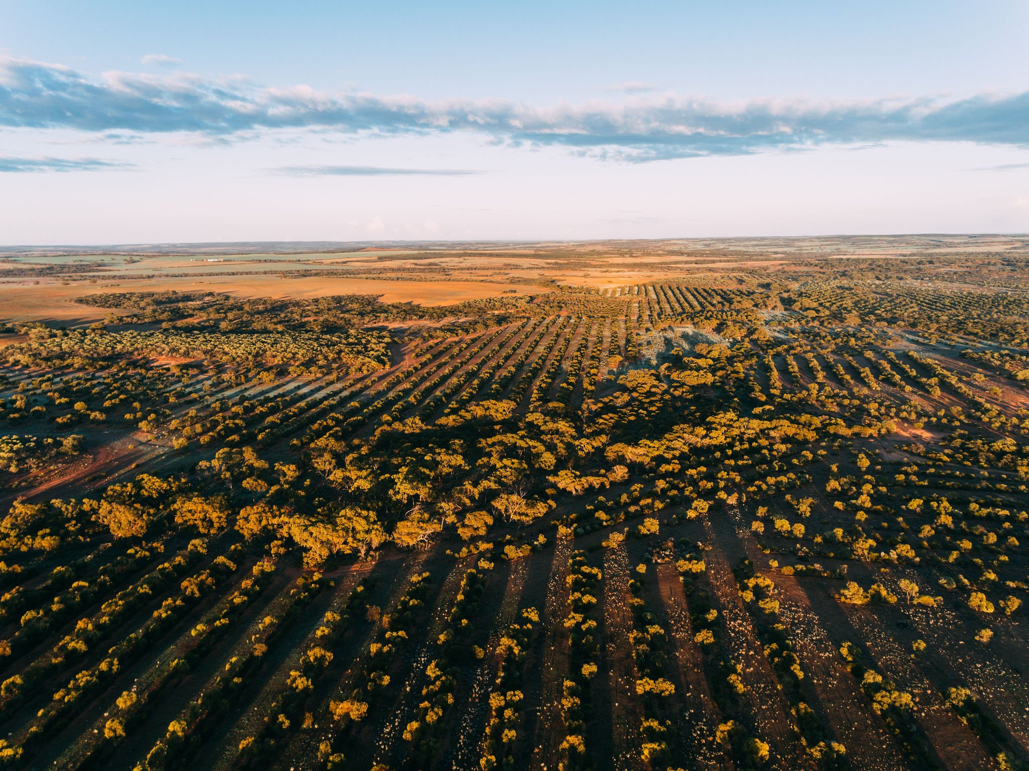 1_CarbonNeutralDrone-PhotoOrd-22